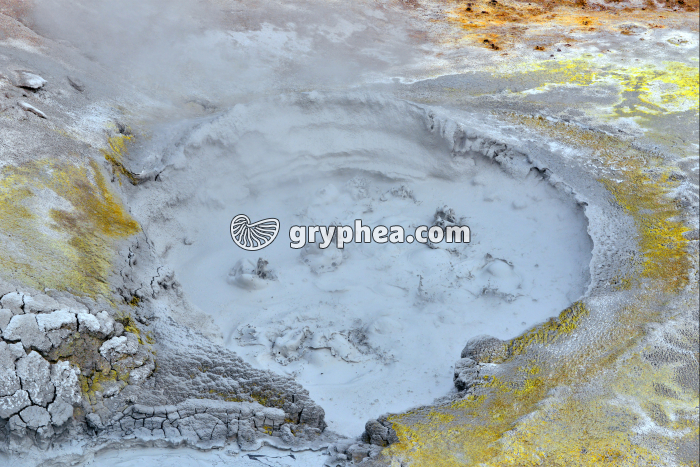 Sulfur Calderon - Marmite de boue et dépôts de soufre (Yellowstone NP, USA) - gryphea.org